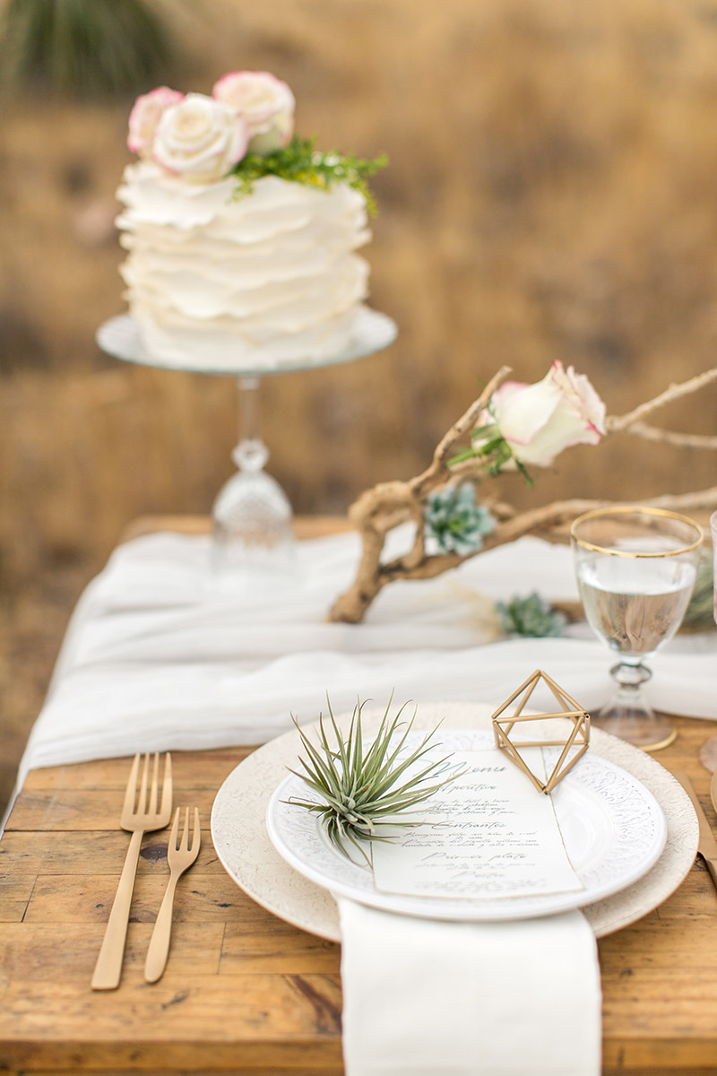 Desert Wedding Tischdeko mit Airplants und goldenen geometrischen Figuren und Treibholz