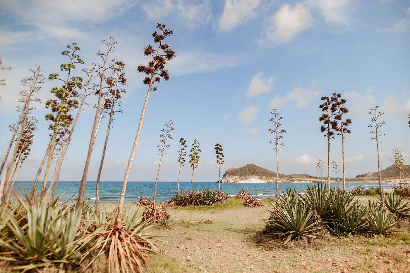 Agavenfeld mit Blick aufs Meer, Hochzeit am Strand in Spanien, Cabo de Gata
