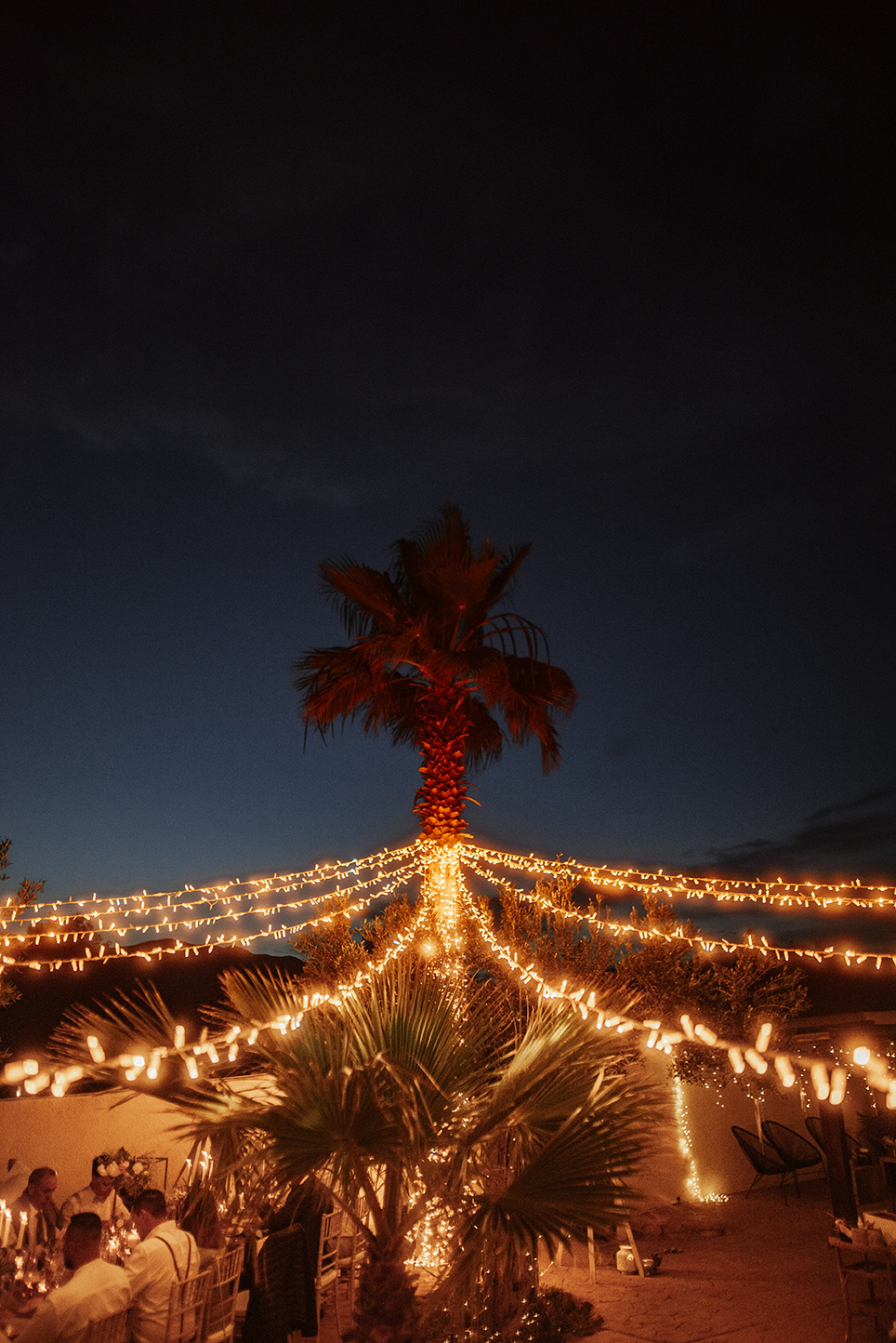 Palme mit Lichterketten bei Nacht, Hochzeit am Strand in Spanien, Cabo de Gata
