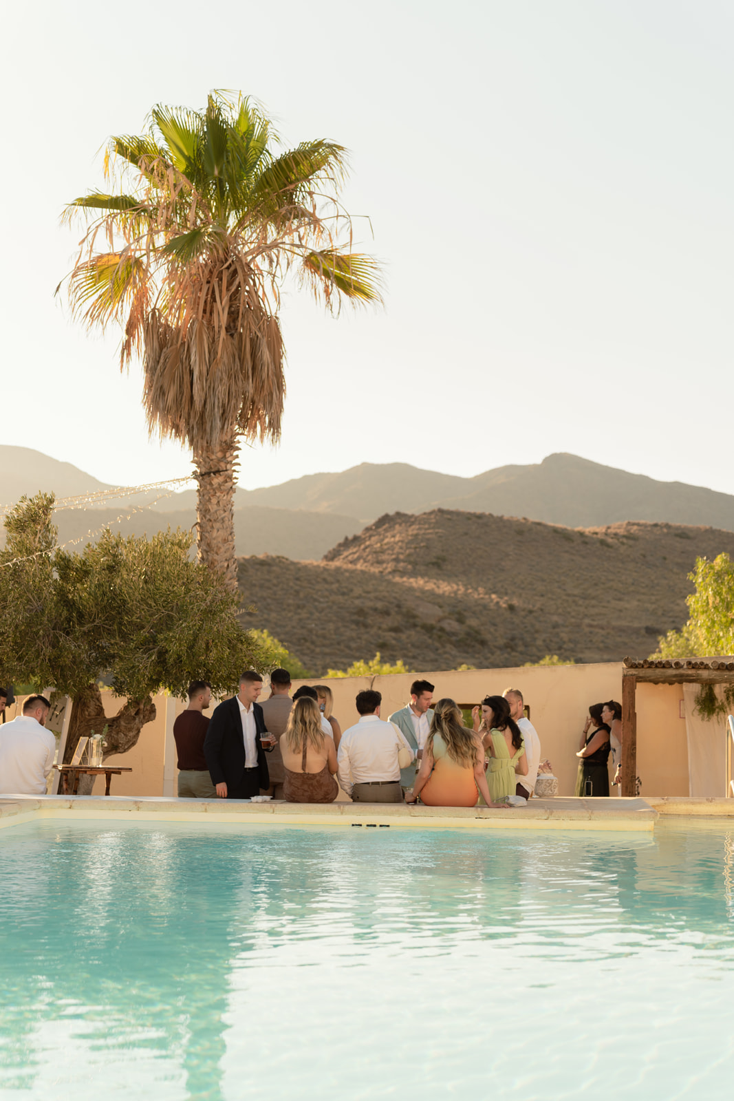 Hochzeitsgesellschaft beim Aperitivo am Pool des Cortijo El Sotillo - Palme, Berge von Almeria, goldenes Abendlicht, San Jose Cabo de Gata