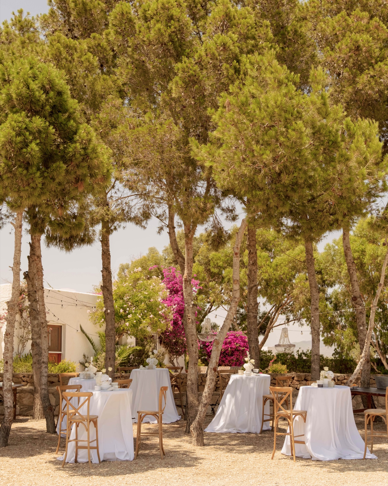 Stehtische mit weißen Decken im Pinienhain, Location 17 Cabo de Gata, Aperitif im Freien