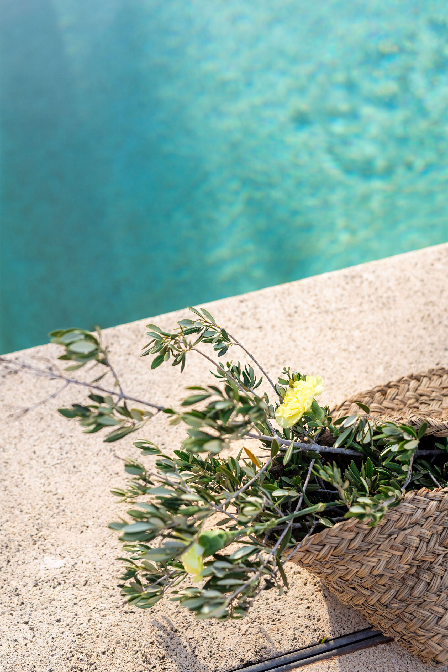 Olivenzweige im Korb am türkisen Poolrand, mediterrane Boho Strandhochzeit Cabo de Gata