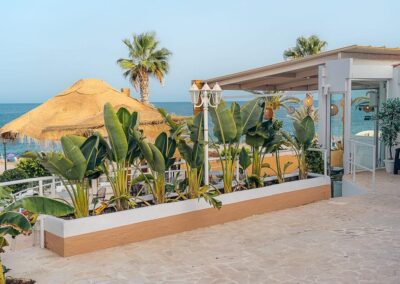 Bepflanzter Bereich der Beachbar mit Strohschirmen und Palmen am Strand