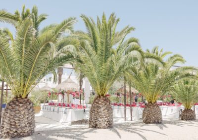 Lange Hochzeitstafel zwischen Palmen am Strand von Agua Amarga