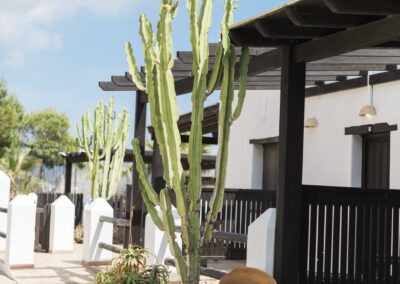 Kakteen und Tonkübel vor der überdachten Terrasse der Finca in Cabo de Gata